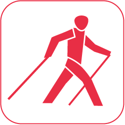 icon nordic walking rot auf weiss 250px